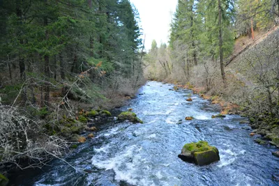 DSC_5964 (Large).JPG